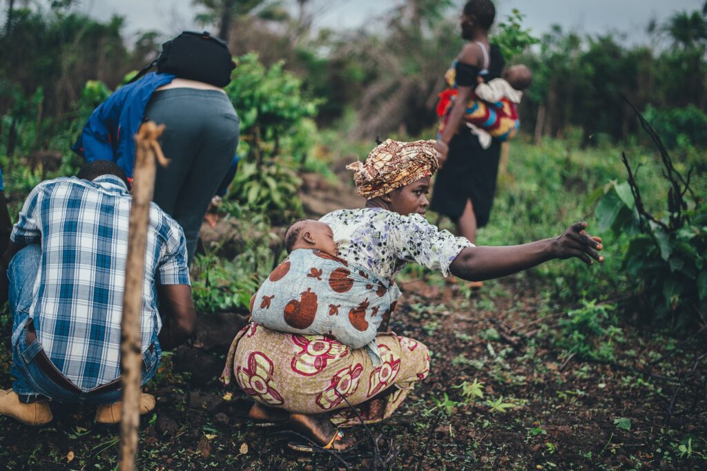 Zimbabwe small farmers